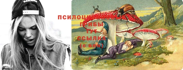 сатива Алзамай