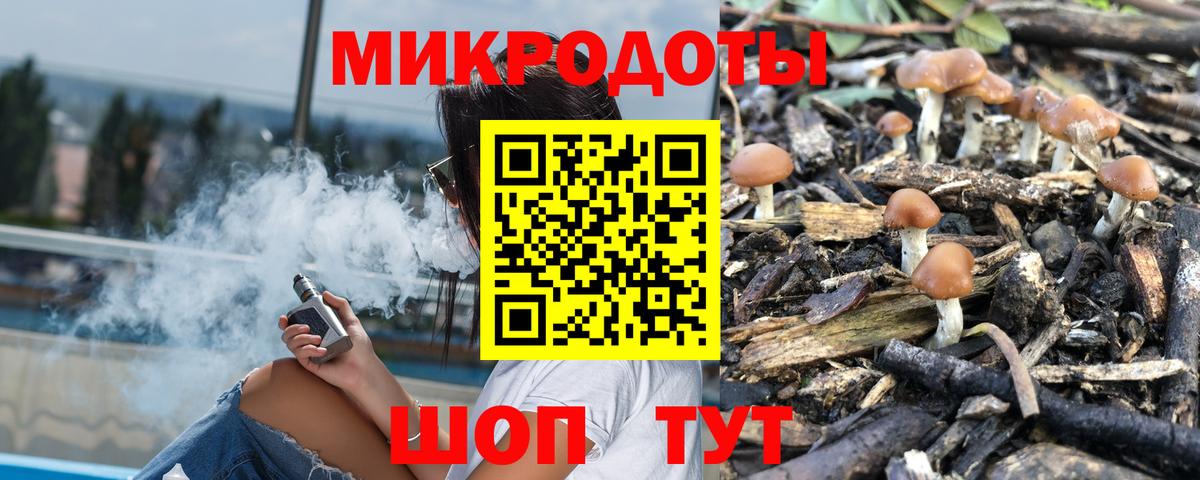 Псилоцибиновые грибы Psilocybe Энгельс