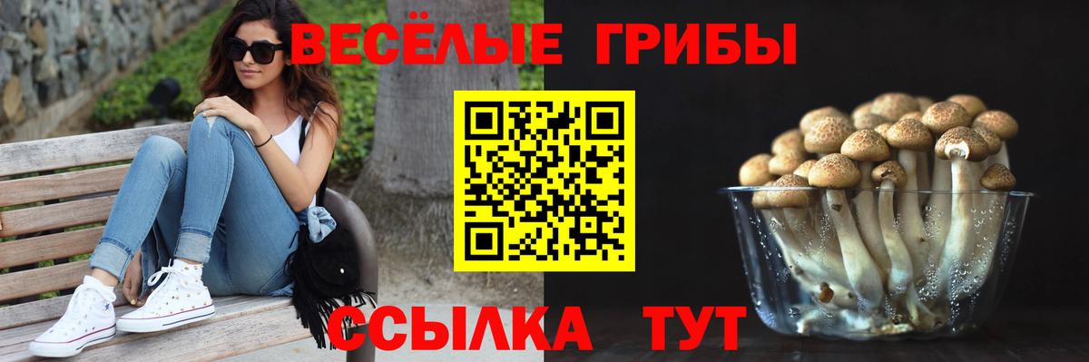 Энгельс  Галлюциногенные грибы ЛСД  Вход с VPN  Галлюциногенные грибы Cubensis 
